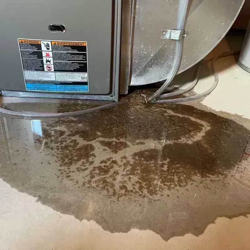 Appliance Leak Cleanup in Yadkin County, NC